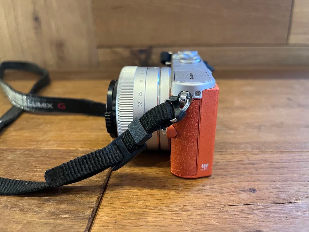 パナソニック LUMIX GM1 DMC-GM1 ミラーレス一眼レフカメラ