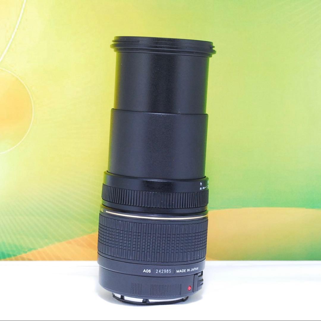 美品✨これ1本でOK✨TAMRON 28-300mm A06 Canon