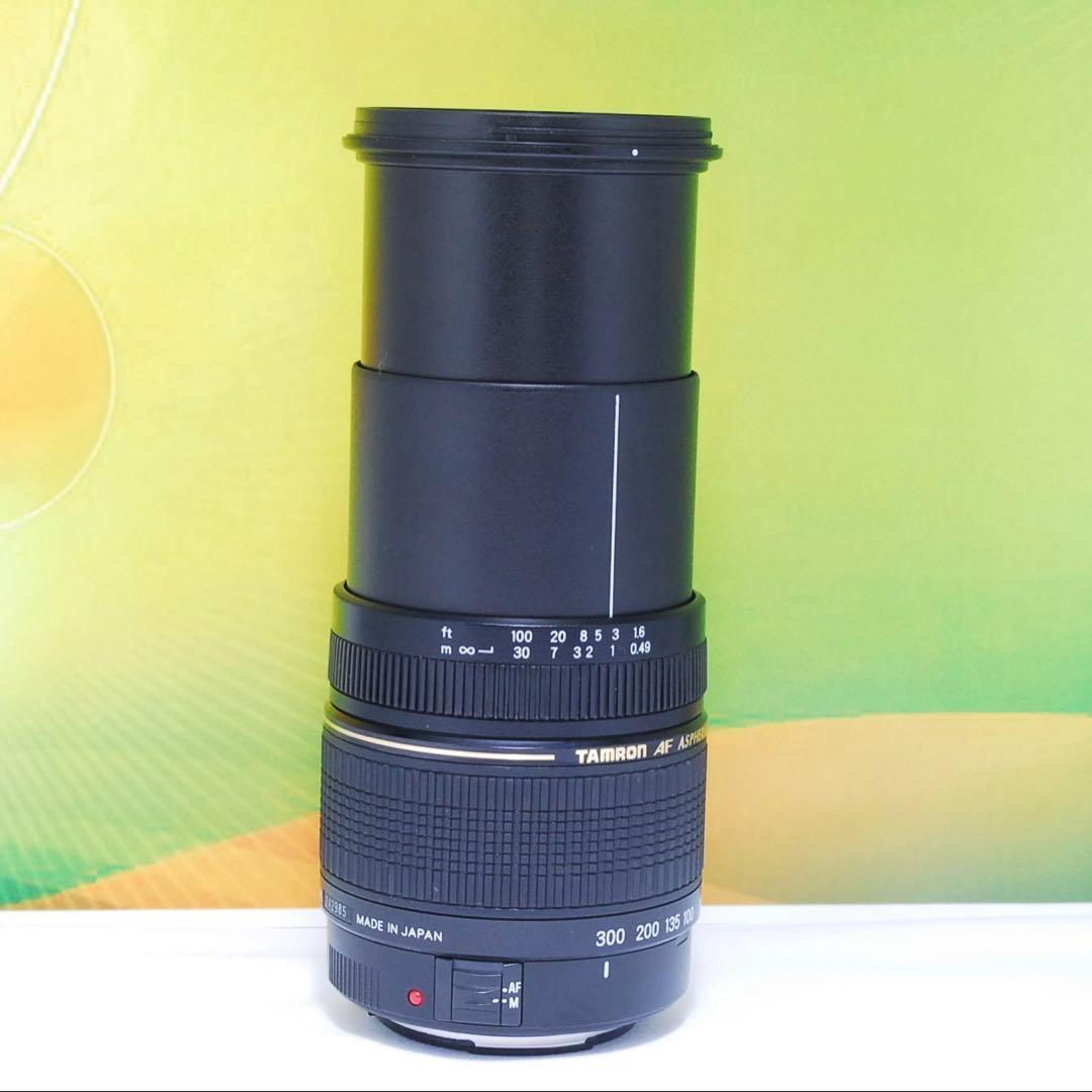 美品✨これ1本でOK✨TAMRON 28-300mm A06 Canon