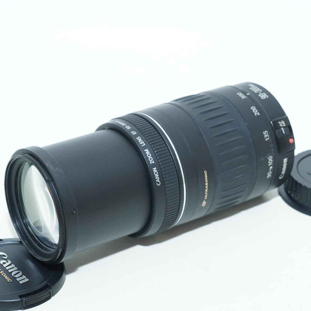 超望遠レンズで狙い撃ち★キャノン★EF 90-300mm 4.5-5.6 USM