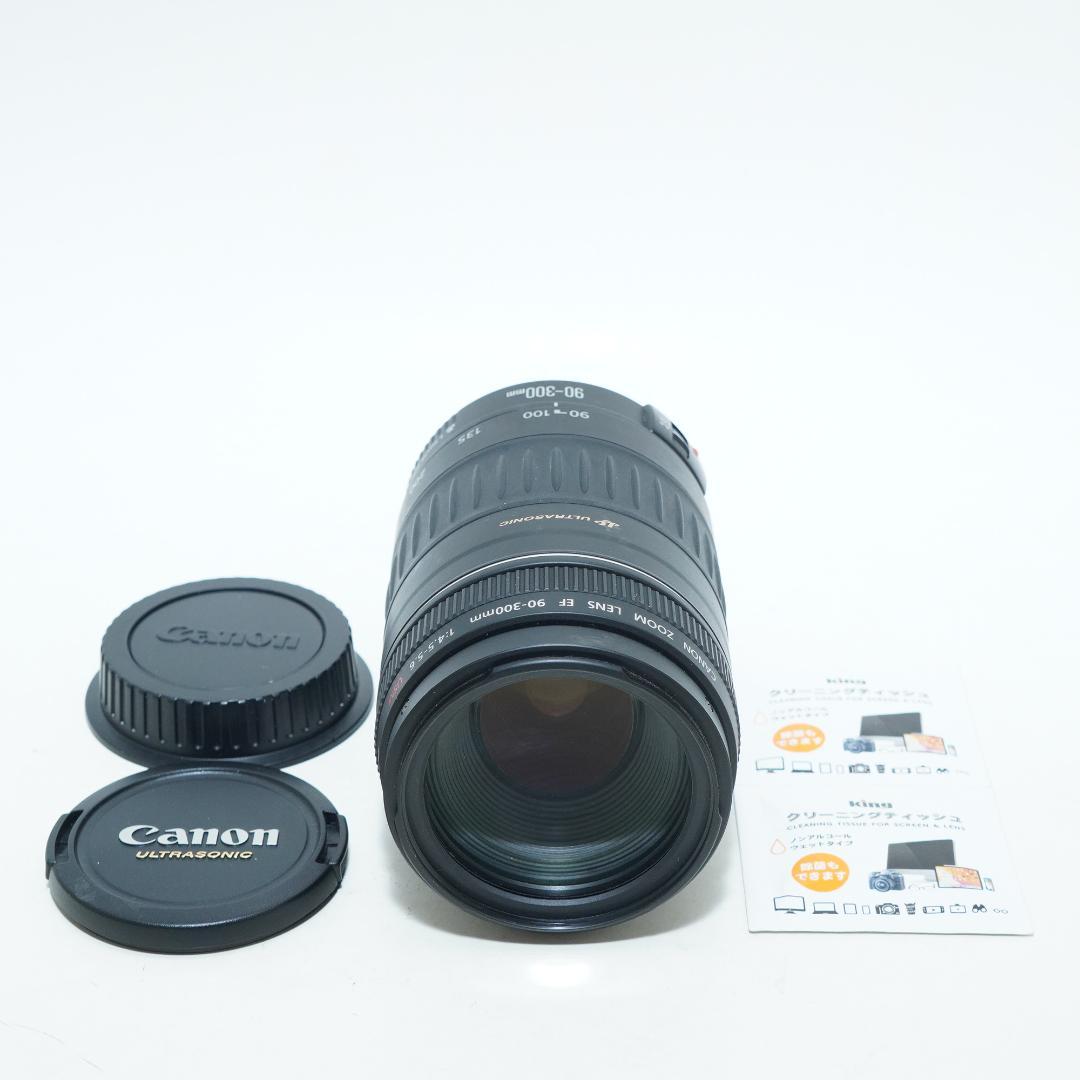 超望遠レンズで狙い撃ち★キャノン★EF 90-300mm 4.5-5.6 USM