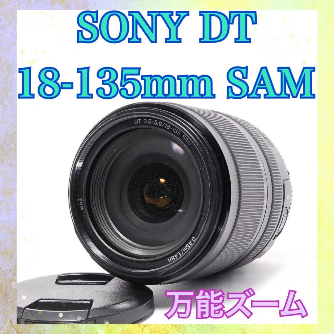 便利な1本◆SONY DT 18-135mm SAM◆高速AF◆万能ズームレンズ