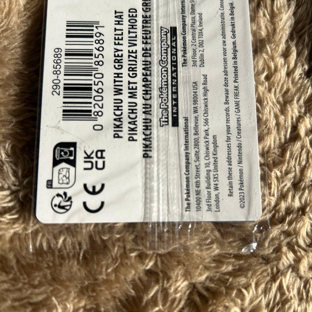 ろ*ぼ様 ゴッホピカチュウ 085 SVP Pikachu With Grey