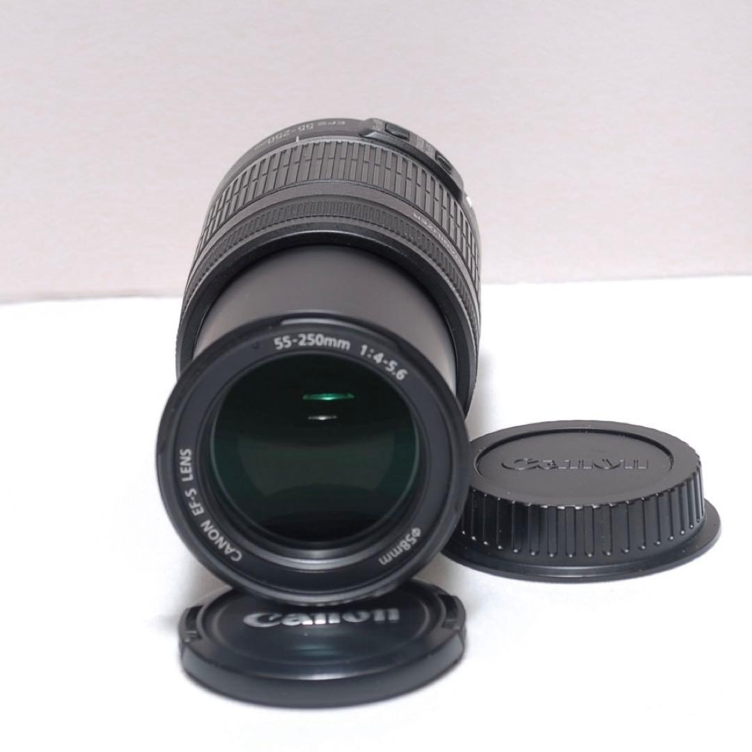 ✨美品✨EF-S 55-250mm 1:4-5.6 IS✨手振れ補正付き✨望遠