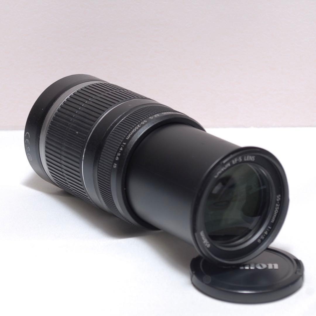 ✨美品✨EF-S 55-250mm 1:4-5.6 IS✨手振れ補正付き✨望遠