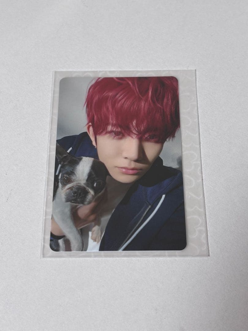 ENHYPEN アンケートトレカ 特典