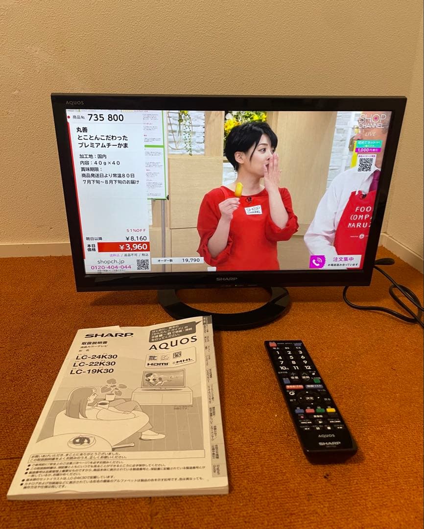 ぴ太郎　シャープ 19V型 液晶テレビ ハイビジョン 外付HDD対応