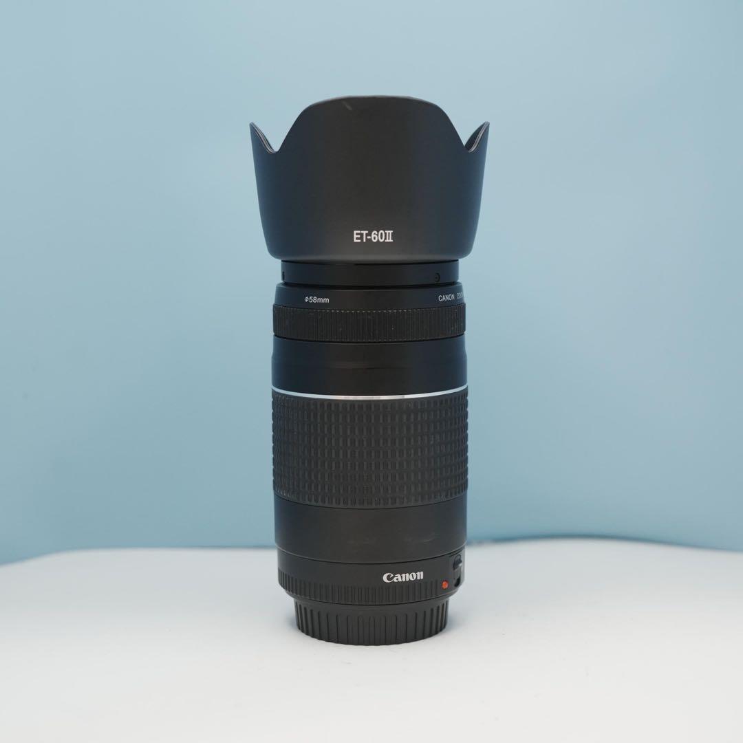 Canon純正 75-300mm 望遠レンズ 極美品 a4184