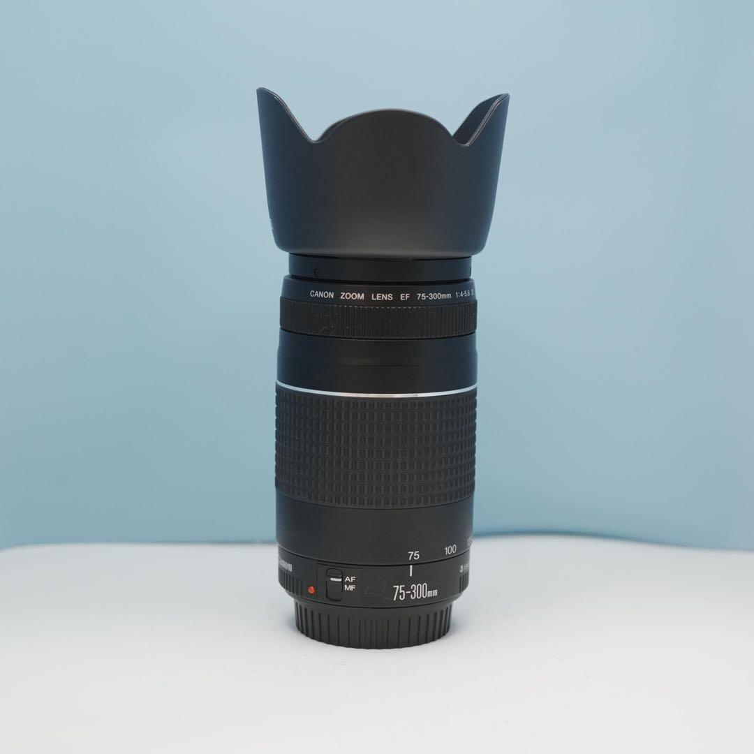 Canon純正 75-300mm 望遠レンズ 極美品 a4184