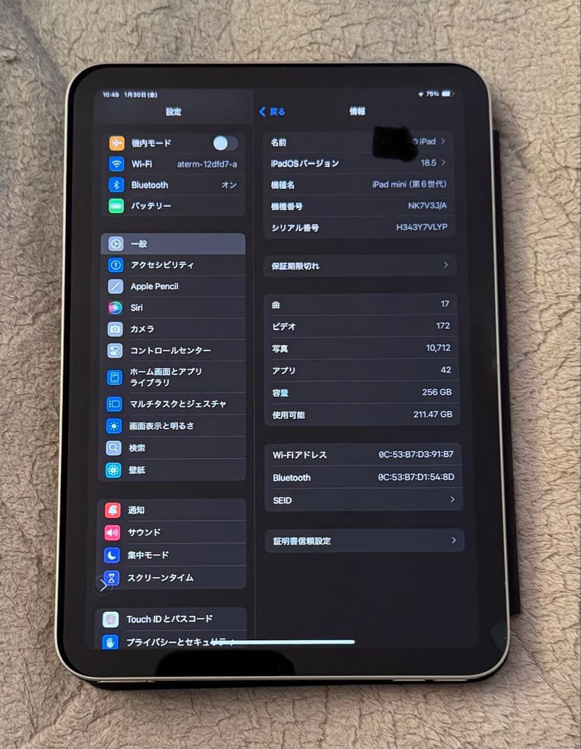 Apple iPad Gold Wi-Fi 第6世代256G 純正ケースつき