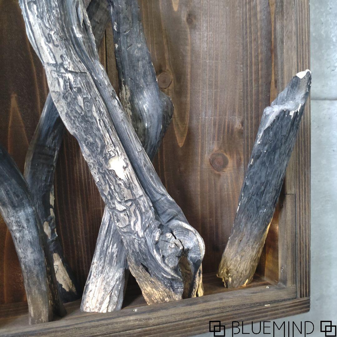 No.1229 黒流木の照明付きオブジェ 流木インテリア