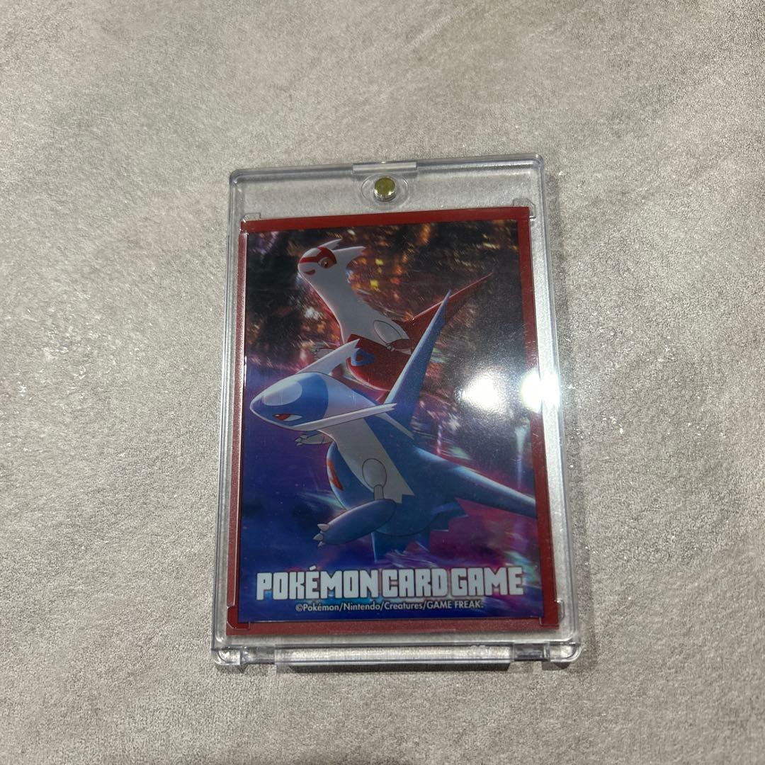 ポケモンカードゲーム　ブラッキーex SAR マグネットローダー入り