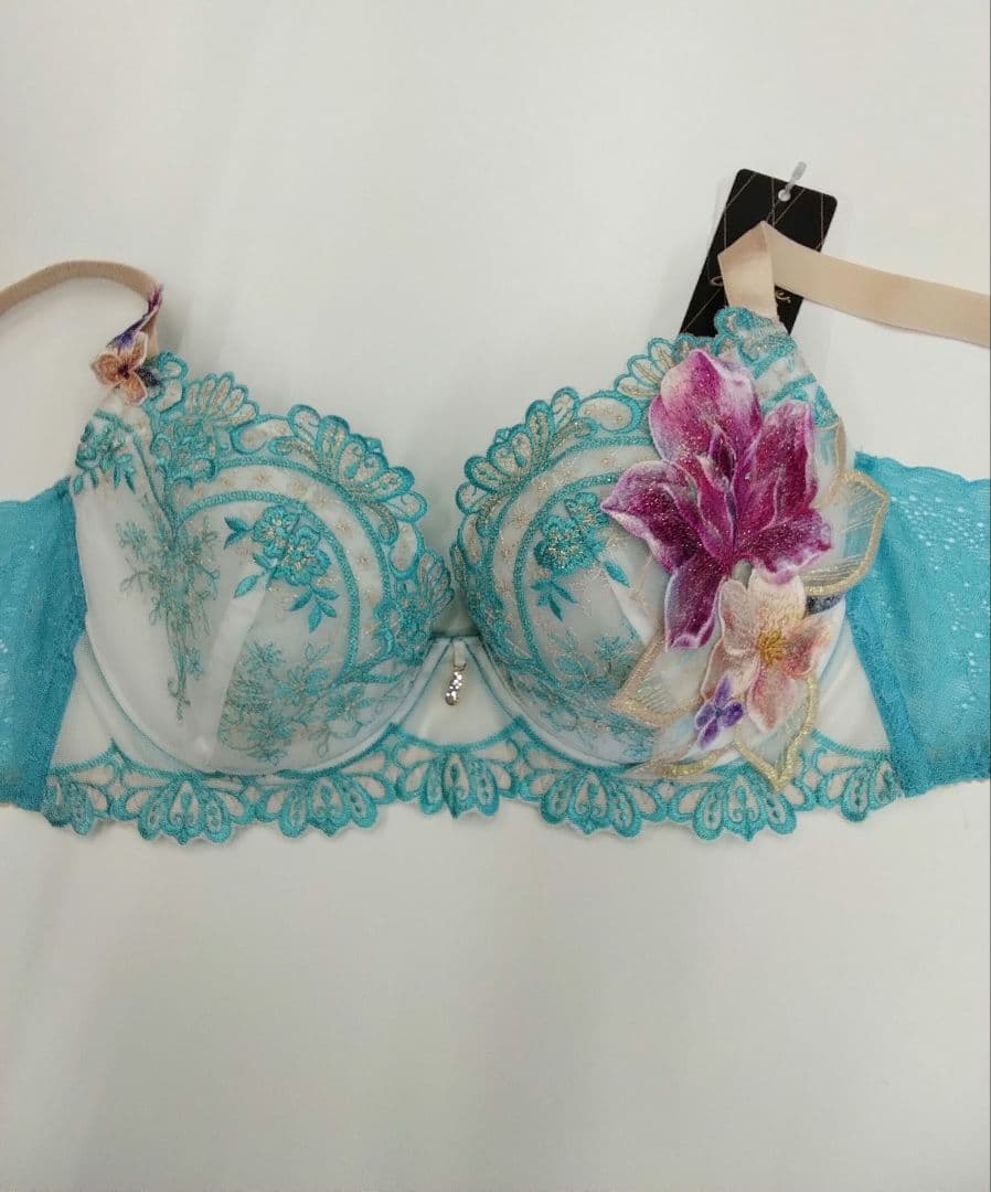 Salute◆13G◆限定◆リッチベールBra&ソングM　Lサイズ❤️