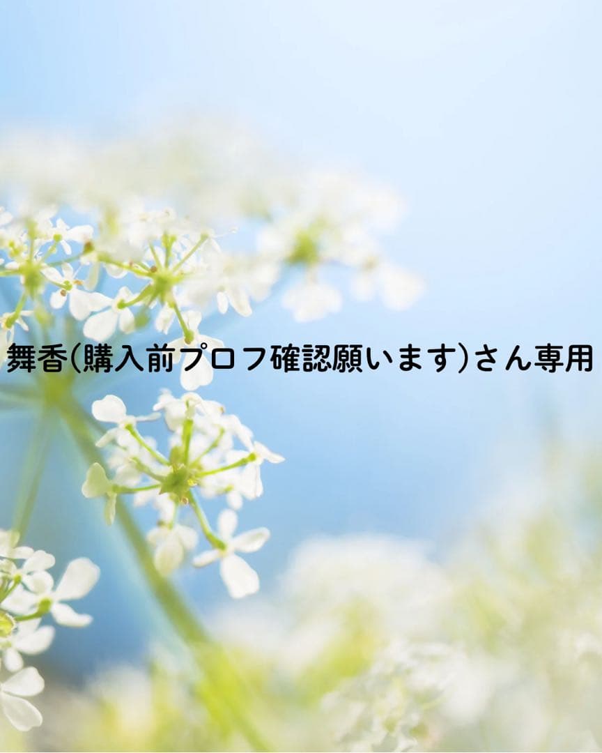 舞香(購入前プロフ確認願います)さん専用