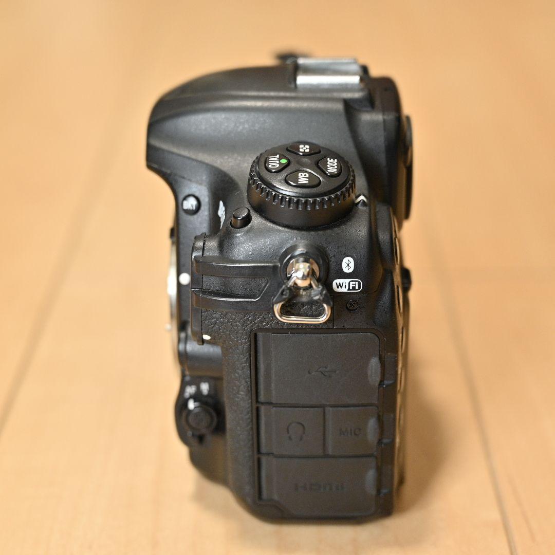 Nikon D500 ショット数27000