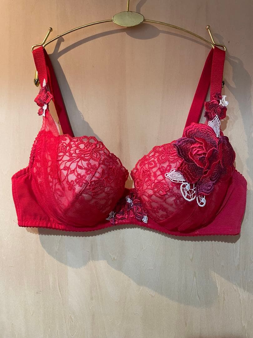 サルートブラジャー D85ショーツLセット