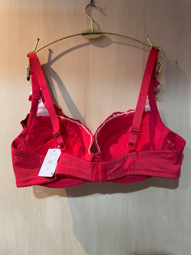 サルートブラジャー D85ショーツLセット