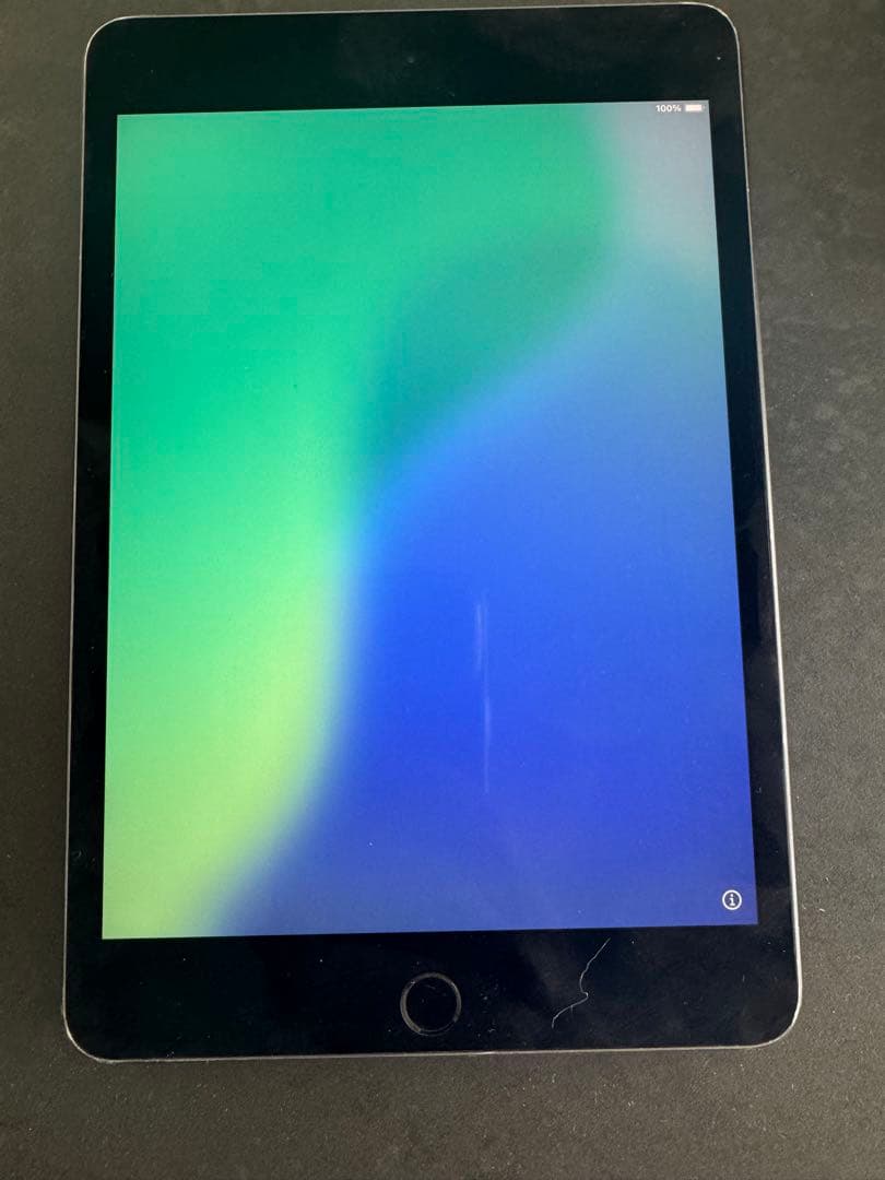 【動作確認済】iPad mini 第5世代 　Wi-Fiモデル