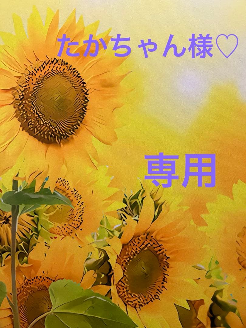 レモンのれん⭐️お花バックNo.66