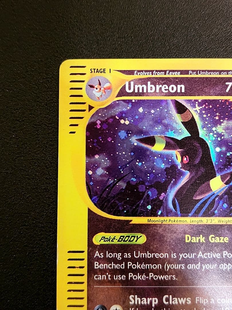 【ポケモンカード】ブラッキー Umbreon eカード 英語版 ダークステアー