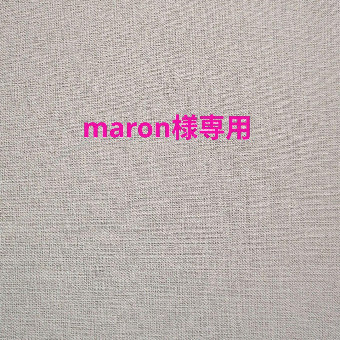 DWE　ディズニー英語システム　Q&Aカード　トークアロング対応