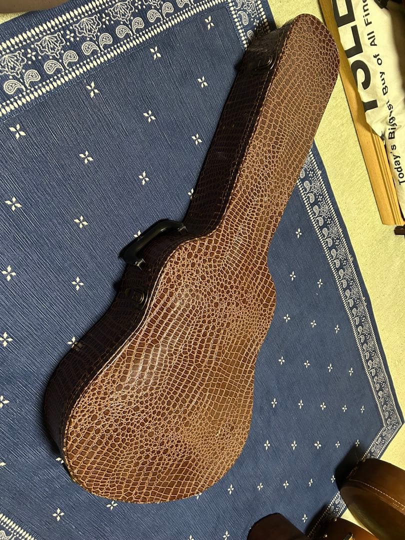 ワニ革柄　ハードケース　J-45 J-50 送料込み