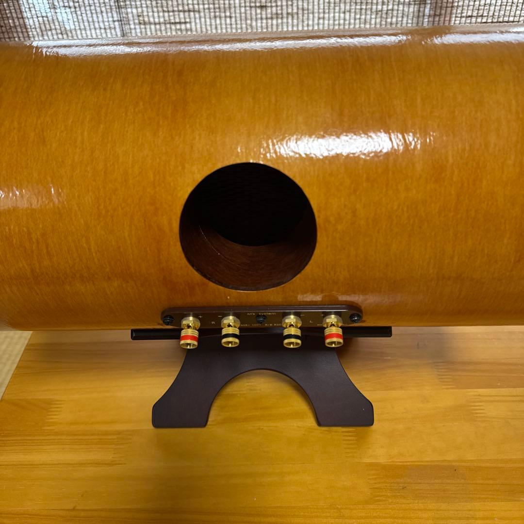 波動スピーカー　MS1001