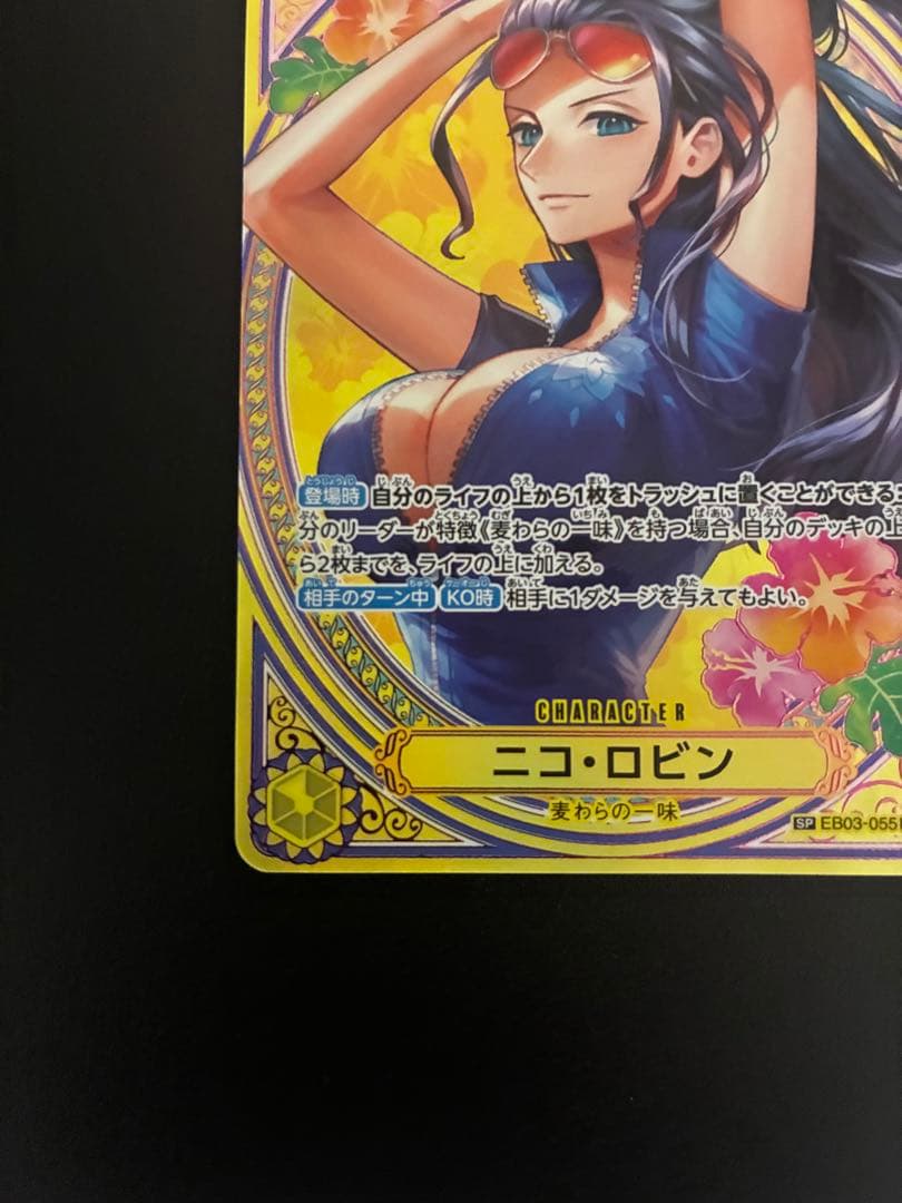 ロビンsp パラレル