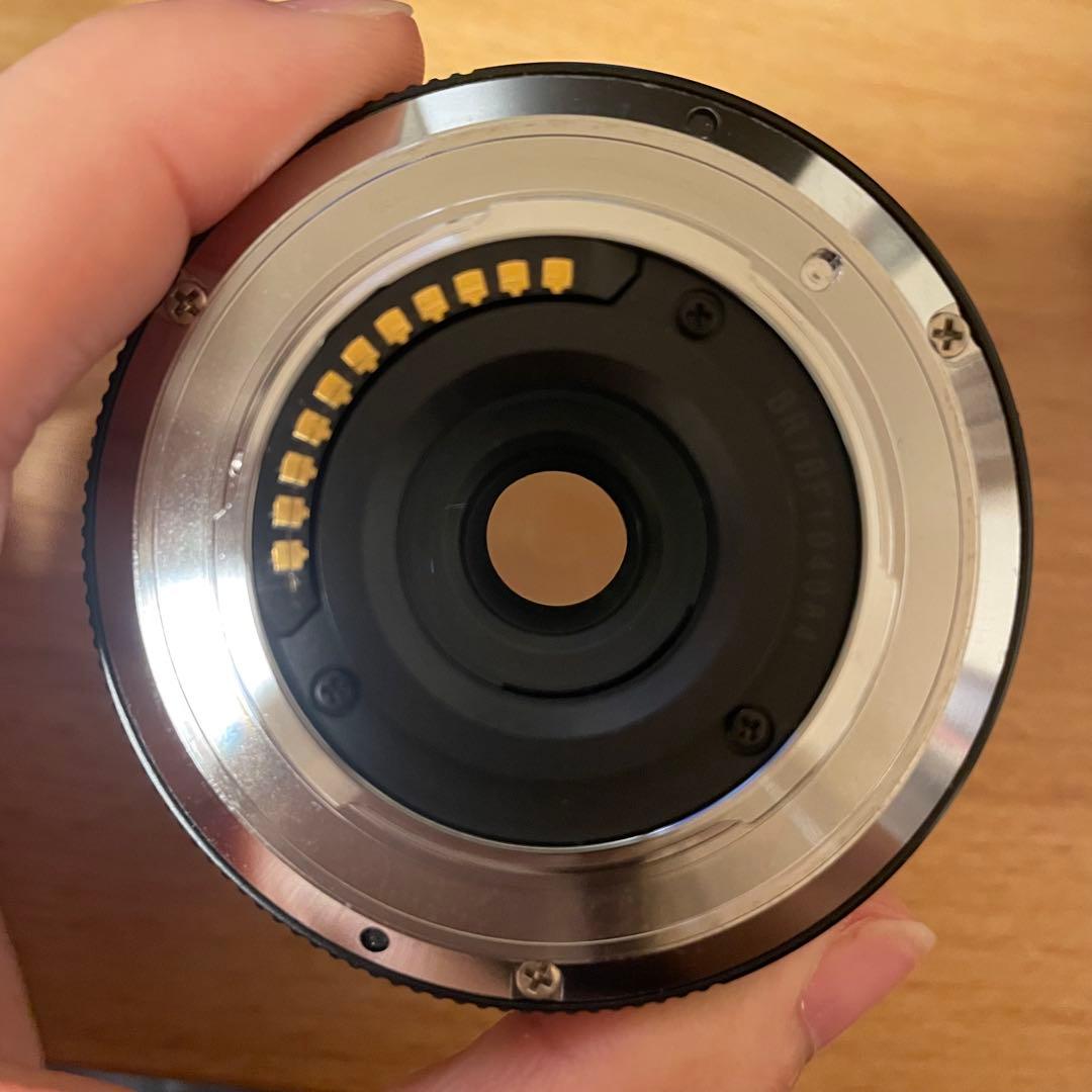 レンズ(ズーム) Panasonic H-PS14042 LUMIX G VARIO PZ