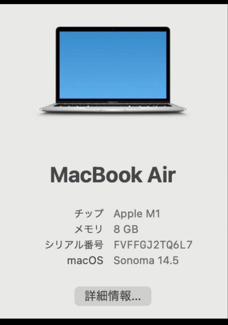 美品　早い者勝ち　Apple MacBook Air M1 256GB