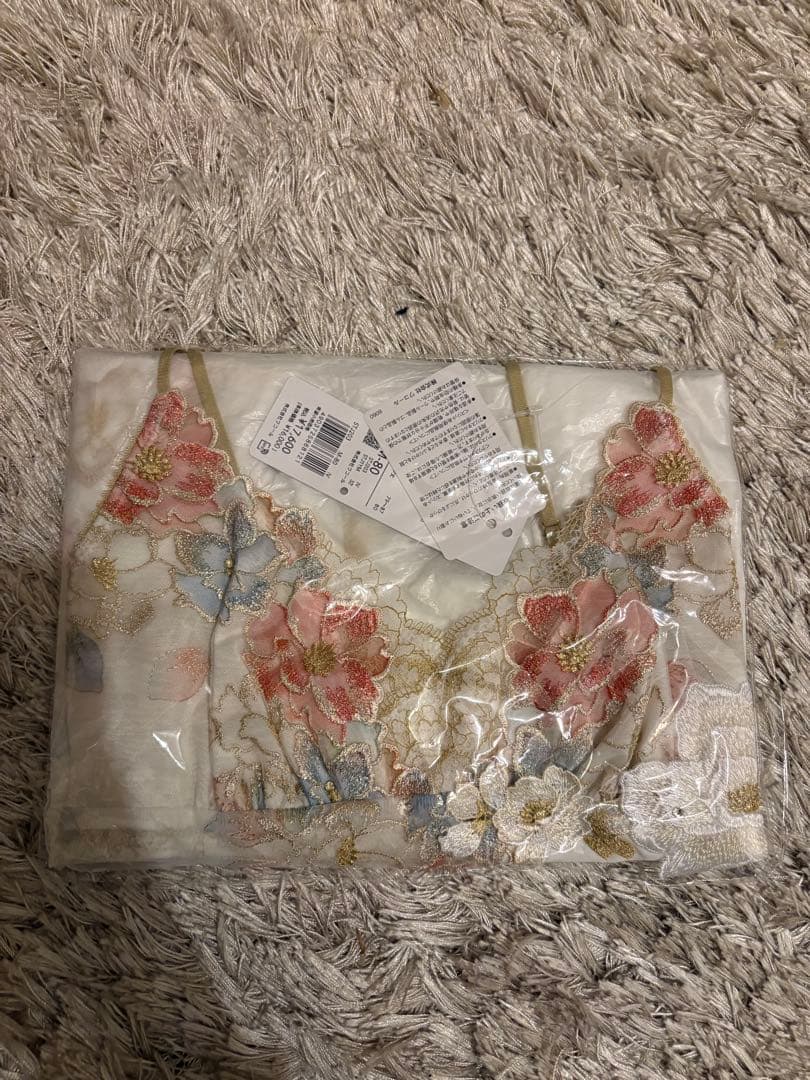 新品タグ付き ワコール Wacoal サルート Salute 24SS スリップ