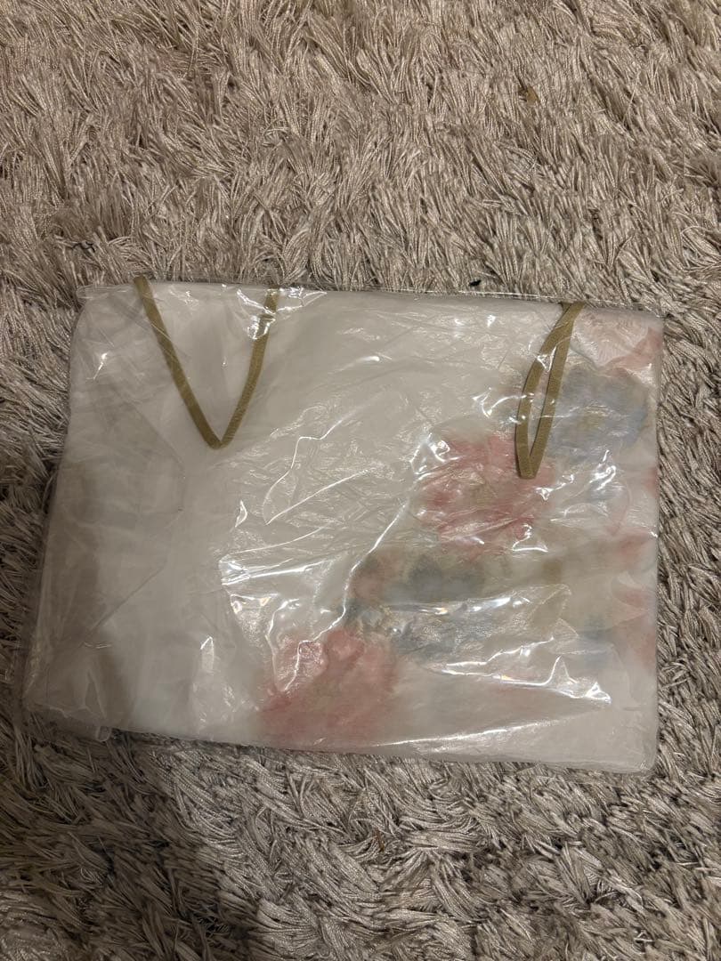 新品タグ付き ワコール Wacoal サルート Salute 24SS スリップ