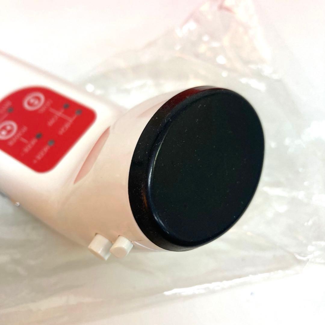 A784-7 ルイズ　ブリュンヒルト　ピュアイオニック　美顔器　未使用