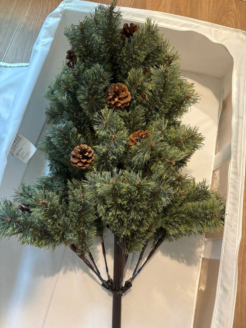 2024年度　Alsace アルザス クリスマスツリー 180 cm