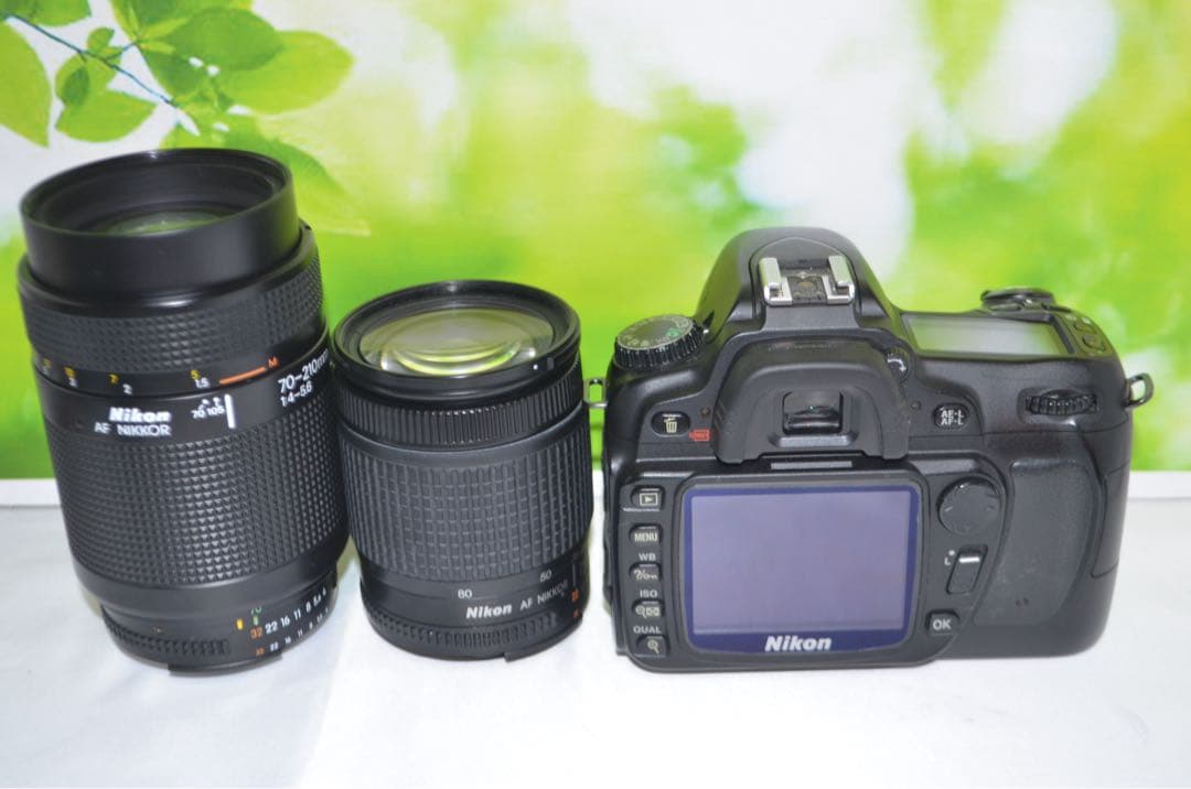 Nikon D80☆スマホに転送OK☆色鮮やか一味違う一眼レフ☆