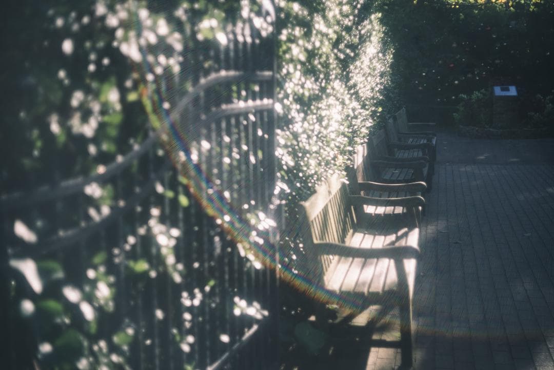 光が滲むライカの癖玉！Leica Summar 50mm f2 オールドレンズ