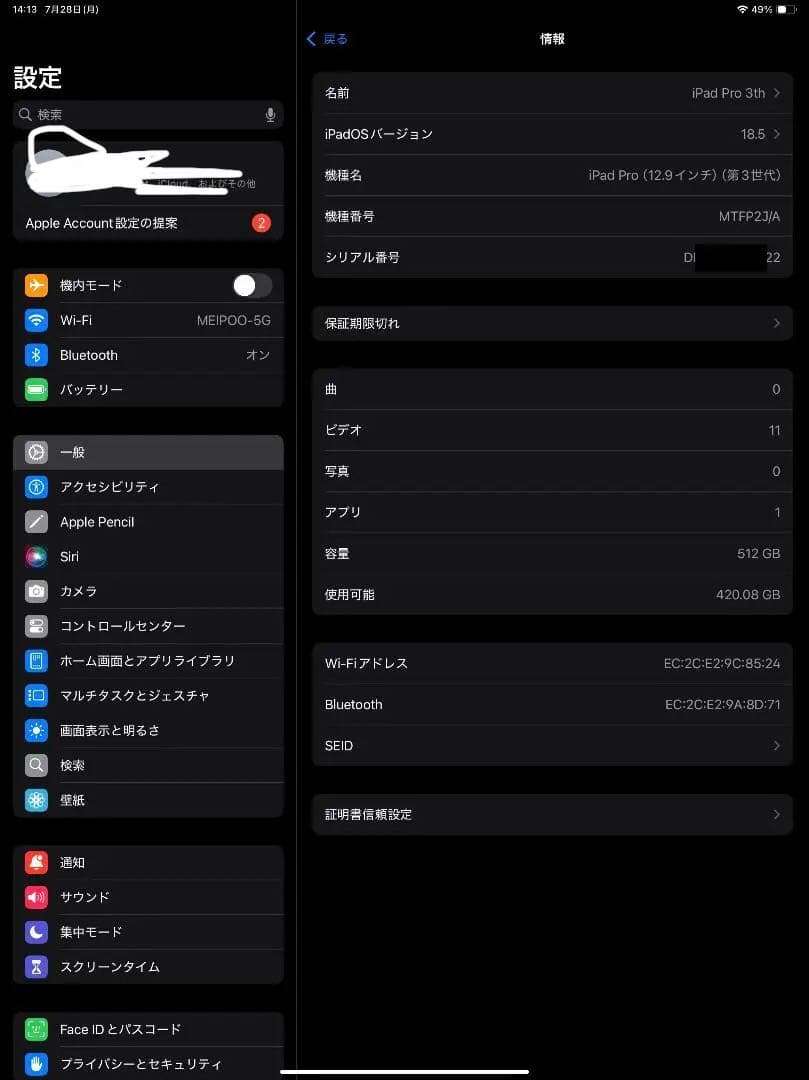 iPad Pro12.9インチ　512G 本体