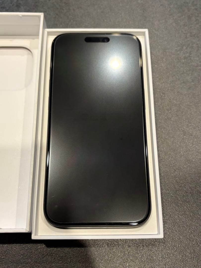 iPhone 15 Pro 中国版