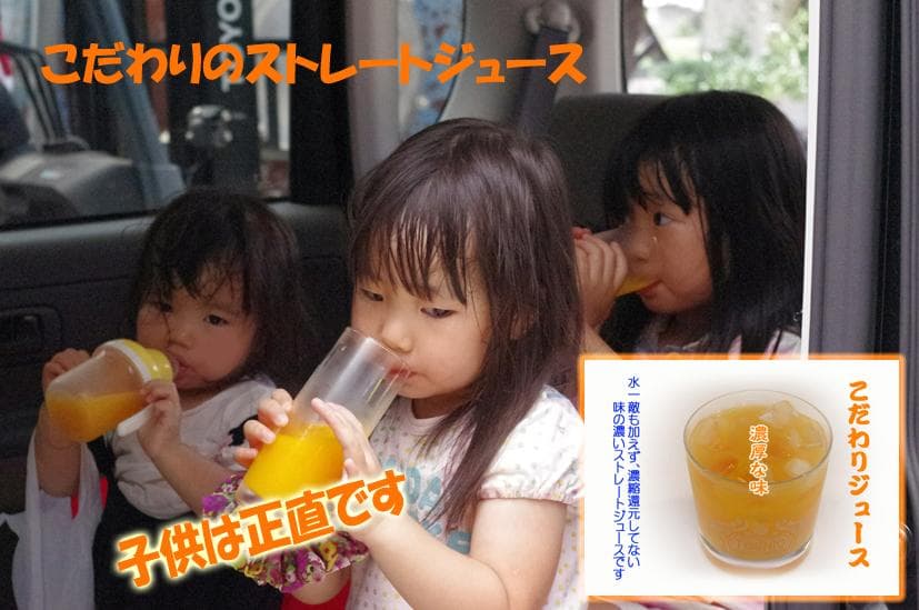 特別・限定販売：特売！濃縮還元してない・みかんジュース1000ｍｌ×6本×2箱