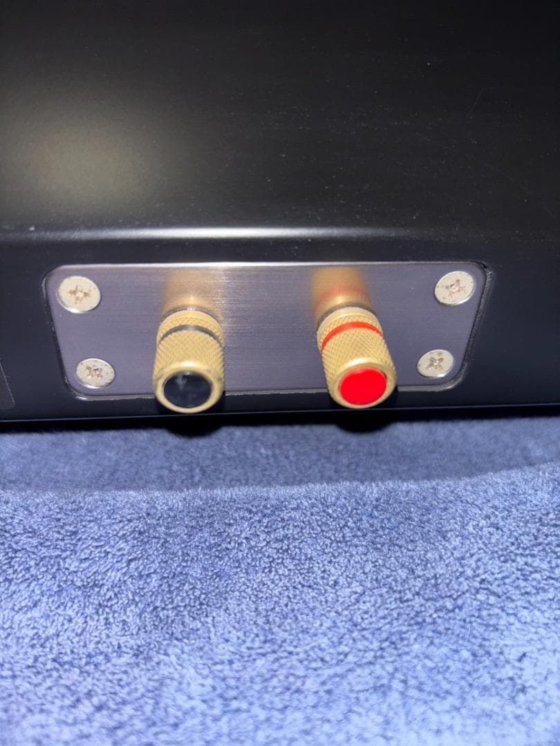 ⭐︎値下げ中⭐︎ Pioneer S-71C センタースピーカー