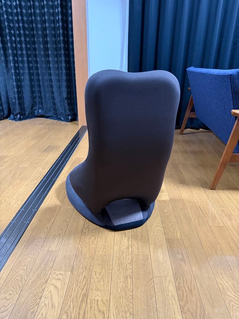 EXGEL エクスジェル 座椅子 ハグ床座 骨盤サポート HUG YUKAZA