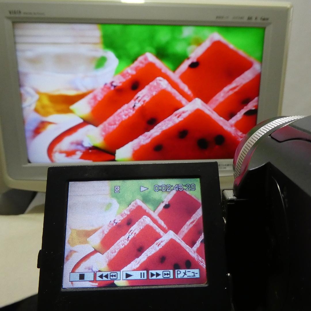 動作品 ソニー DCR-PC300 MiniDVビデオカメラ　DVD化に最適