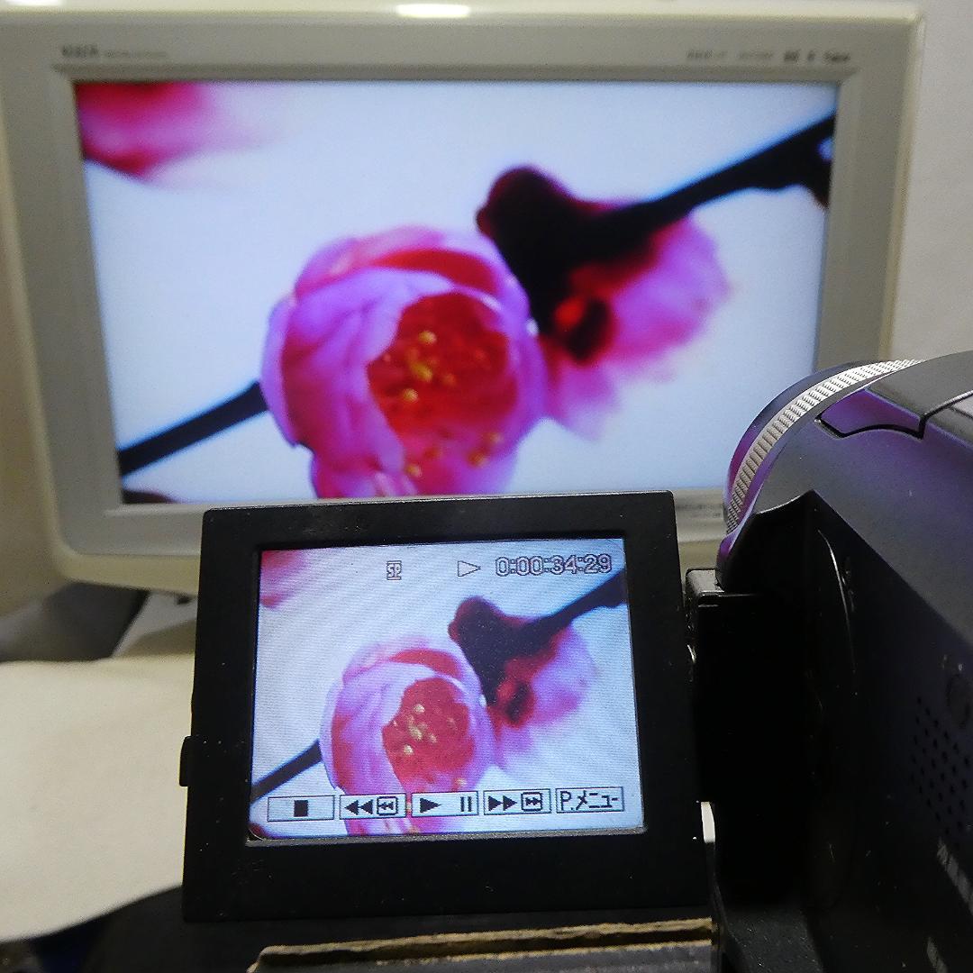 動作品 ソニー DCR-PC300 MiniDVビデオカメラ　DVD化に最適