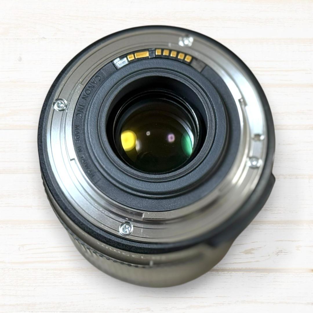 Canon ズームレンズ EF-S 18-135mm IS #260