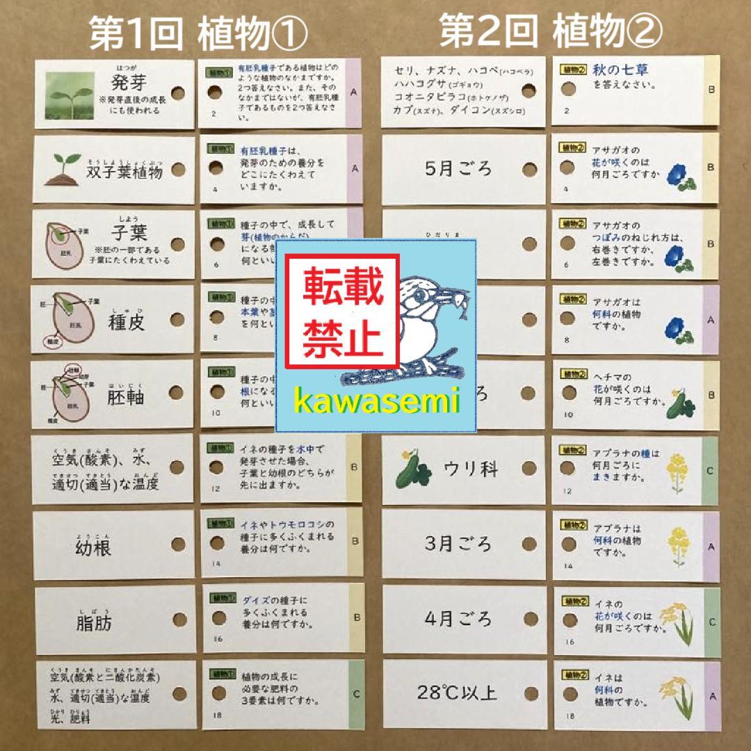 カット済 【中学受験】理科の基本事項 知識編 理科 暗記カード フルセットc