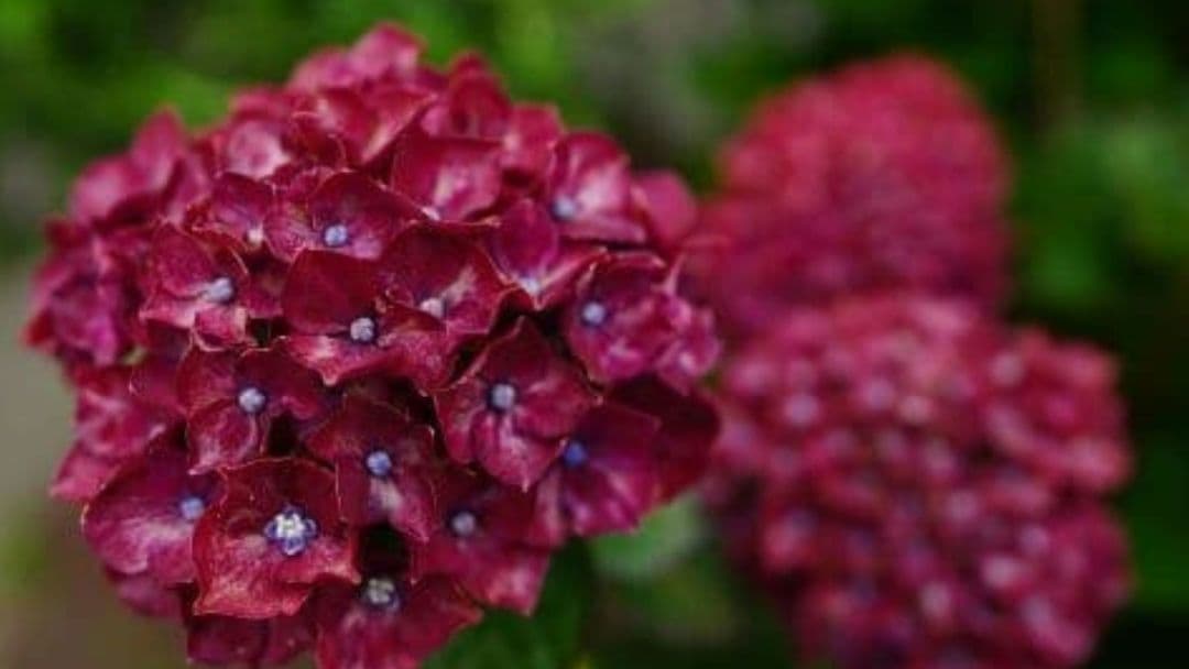 人気のシルバー色カメラ　SONY α6400 ミラーレス一眼カメラセット