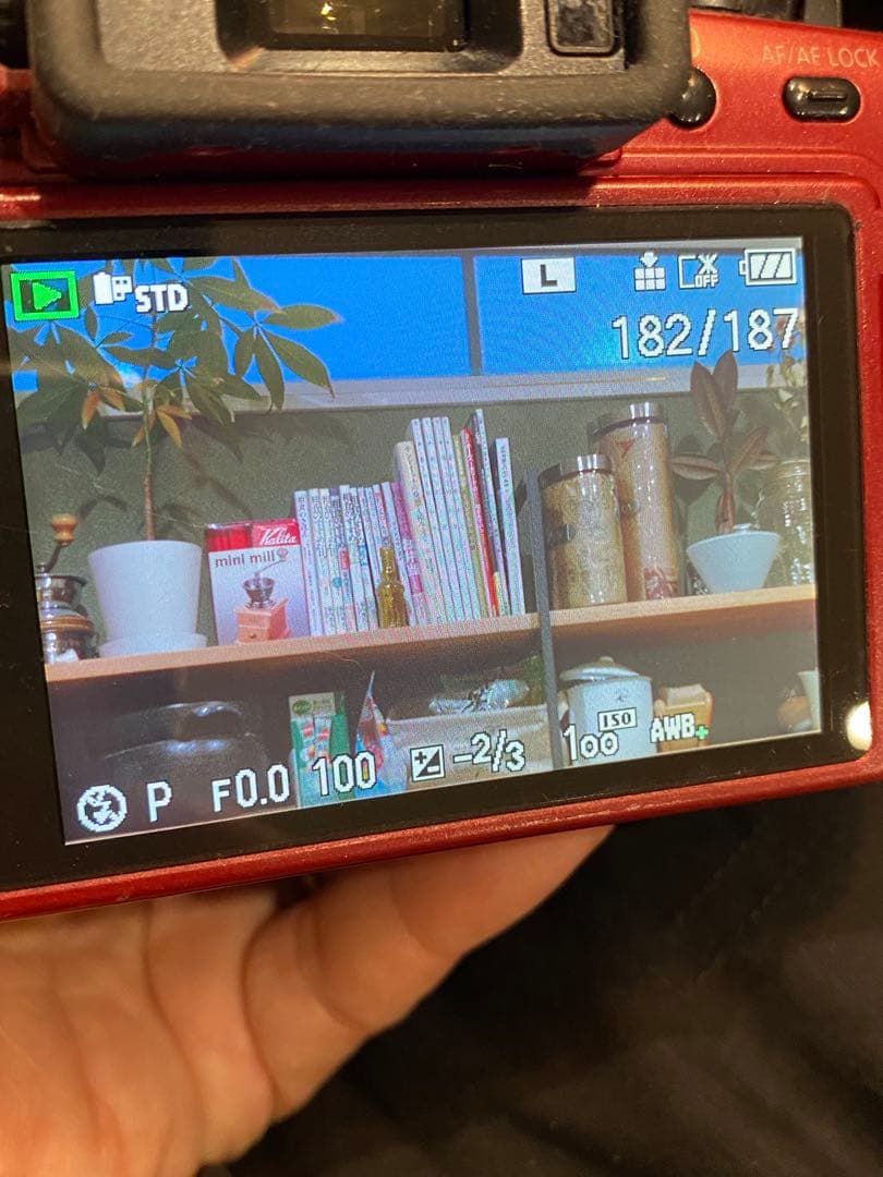 パナソニック　LUMIX G1 赤 ミラーレス　ミノルタ　50㍉緑のロッコール