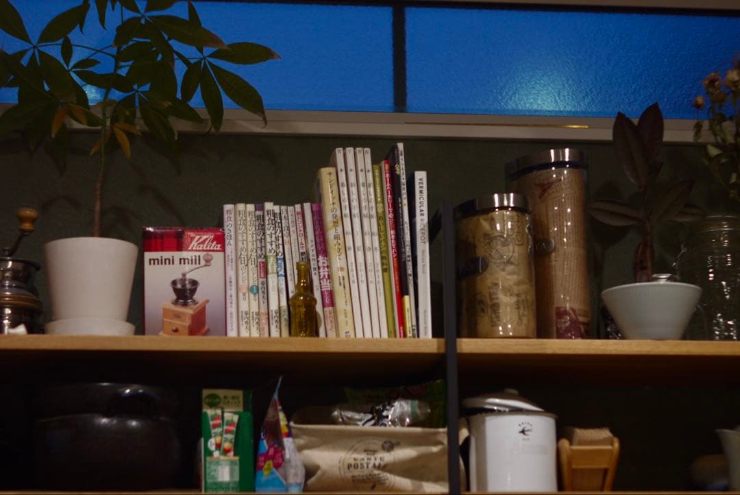 パナソニック　LUMIX G1 赤 ミラーレス　ミノルタ　50㍉緑のロッコール