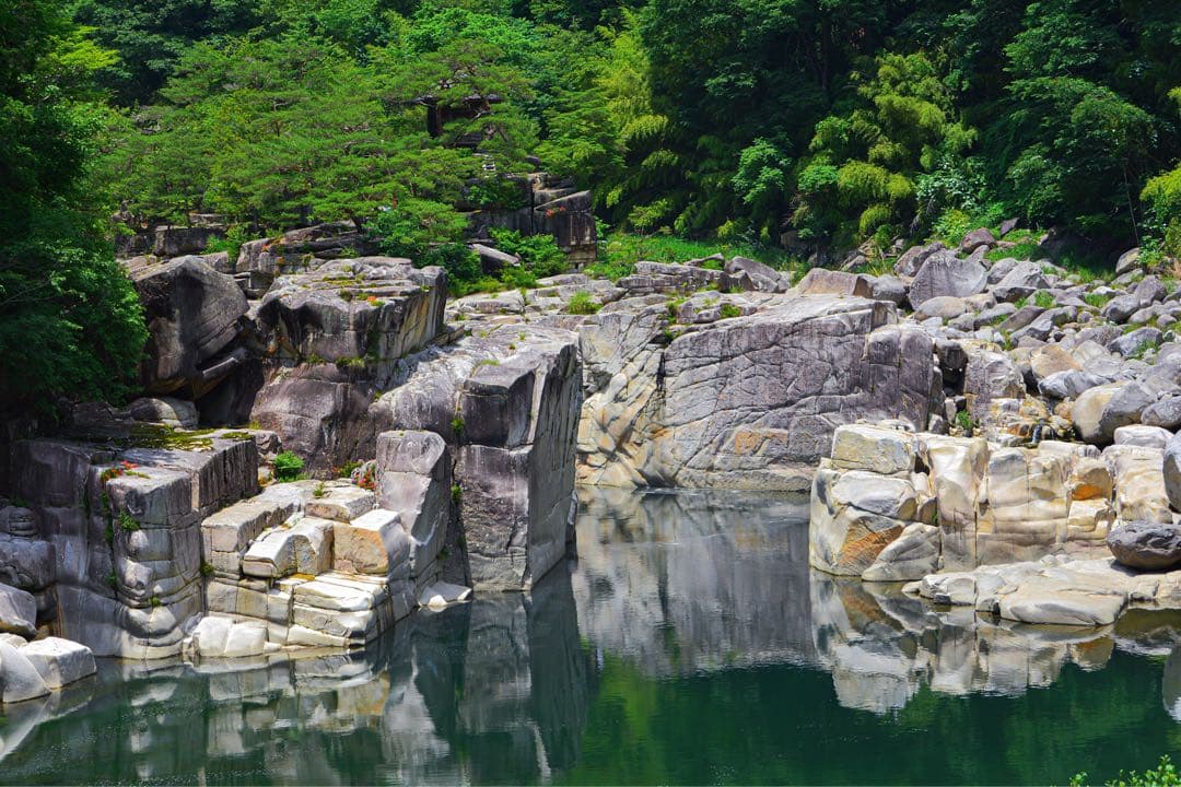 Nikon 24mm f/2.8 単焦点レンズ