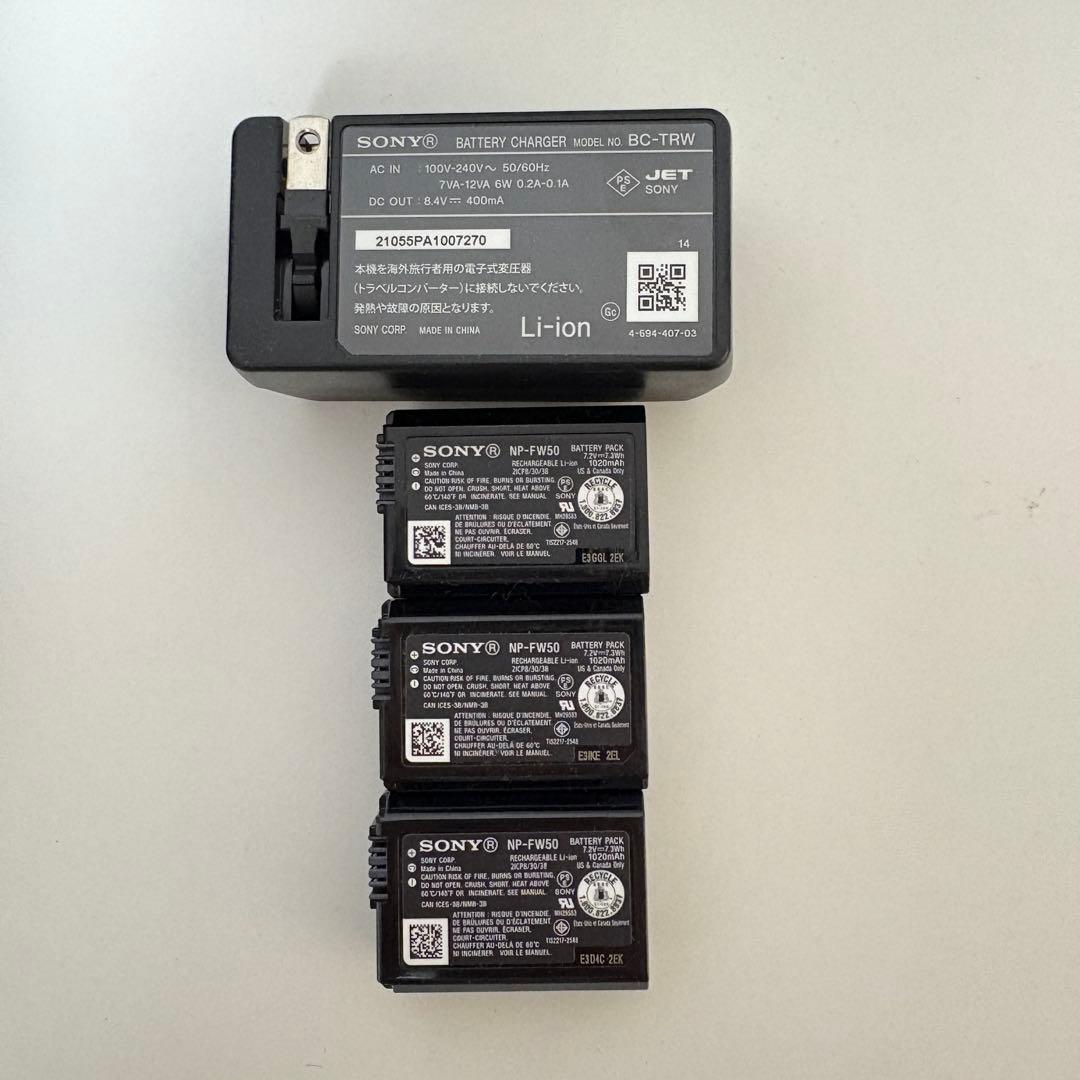 【テー】SONY ZV-E10 ボディ・付属品